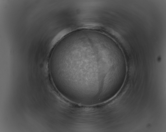 X0000093521362200710191323