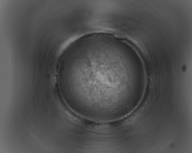X0000093521363200710191323