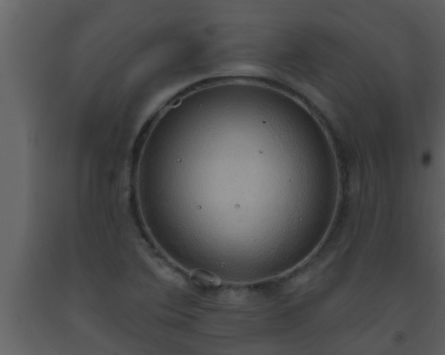 X0000093521364200710191323