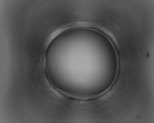 X0000093521365200710191323