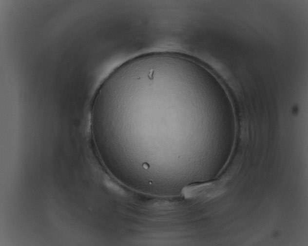 X0000093521366200710191323