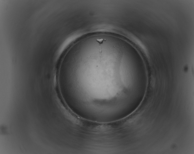 X0000093521368200710191323