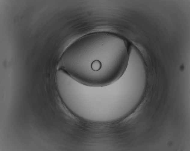 X0000093521369200710191323