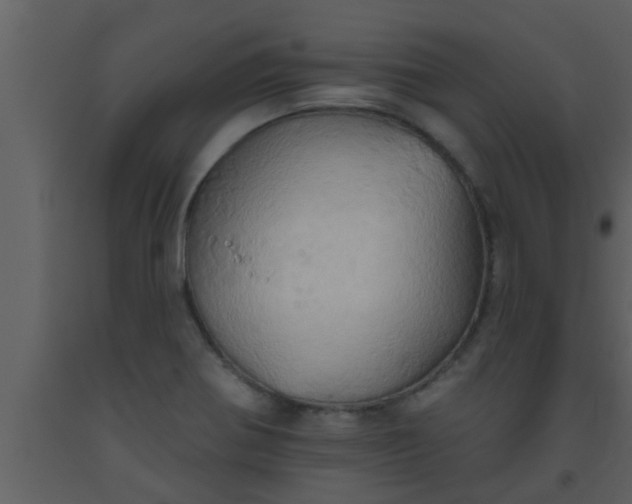 X0000093521370200710191323