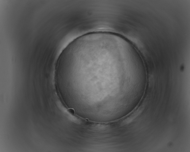 X0000093521374200710191323