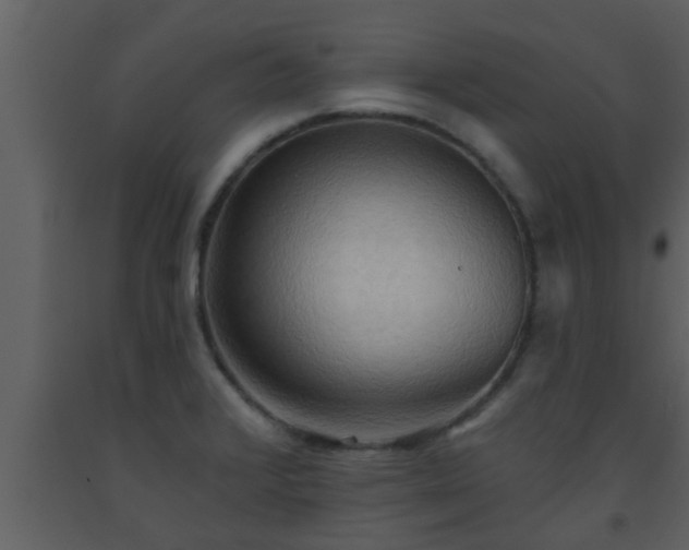 X0000093521376200710191323
