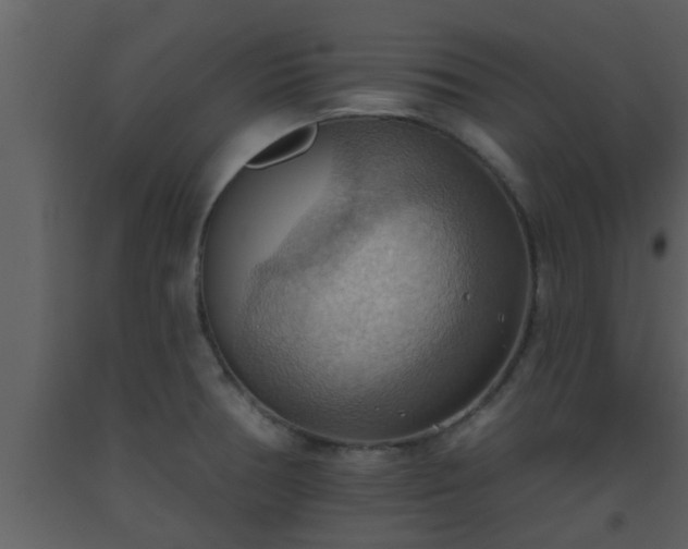 X0000093521378200710191323