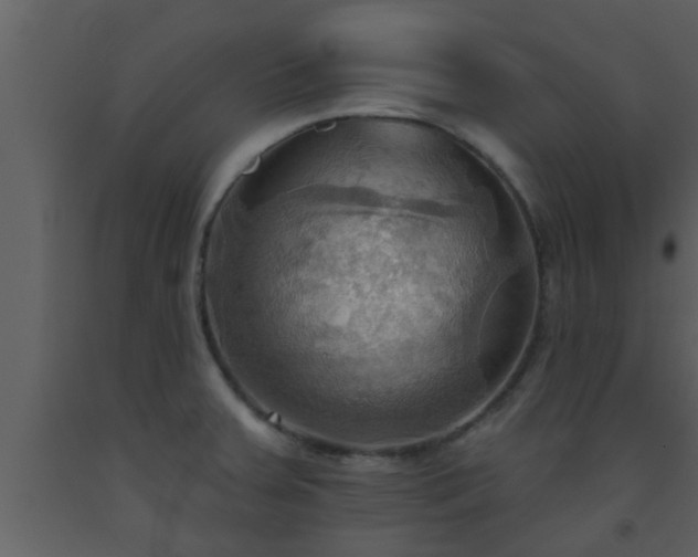X0000093521379200710191323
