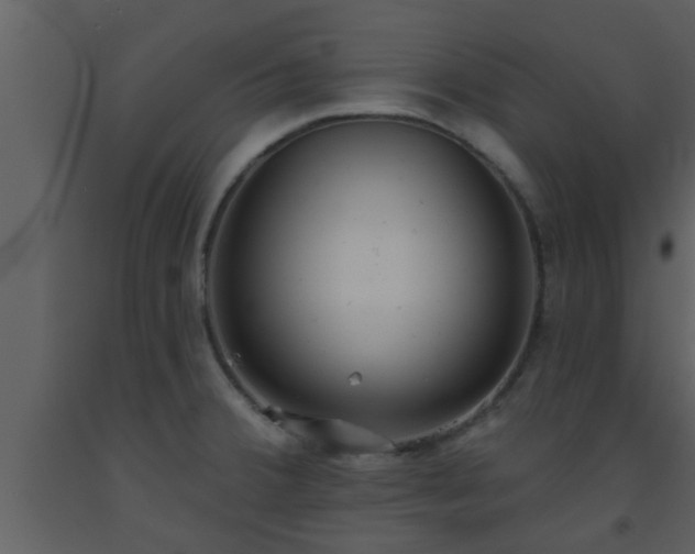 X0000093521380200710191323