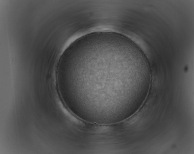 X0000093521382200710191323