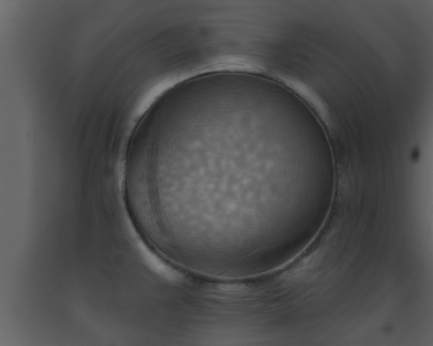X0000093521383200710191323