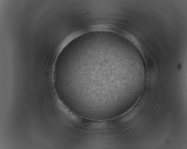 X0000093521386200710191323