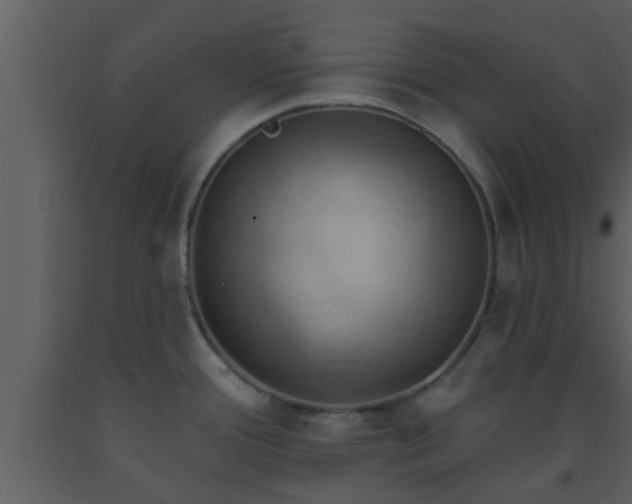 X0000093521388200710191323