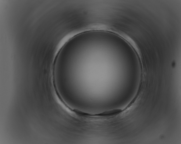 X0000093521389200710191323