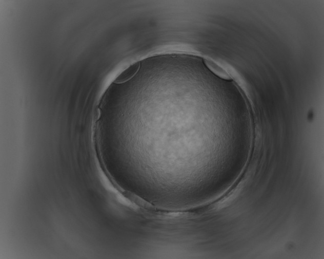 X0000093521390200710191323