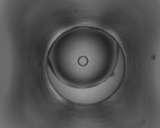 X0000093521392200710191323