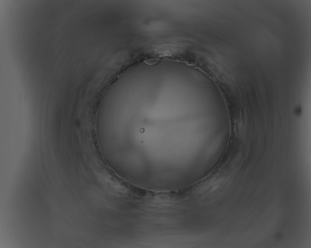 X0000093521393200710191322