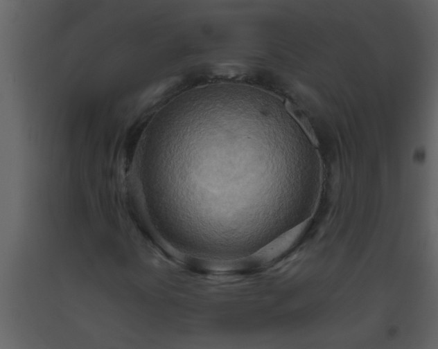 X0000093521394200710191322
