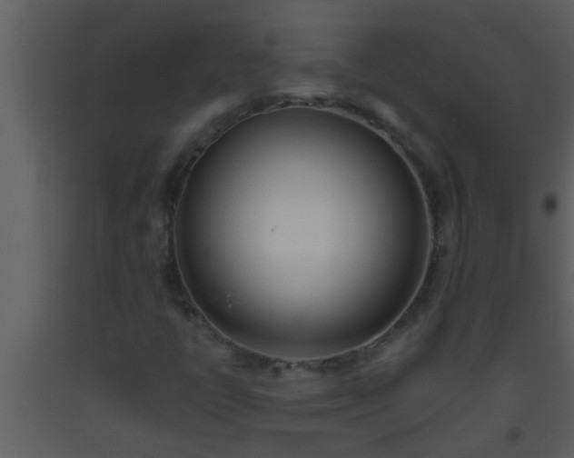 X0000093521398200710191322