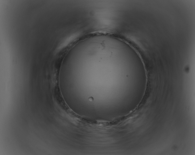 X0000093521399200710191322