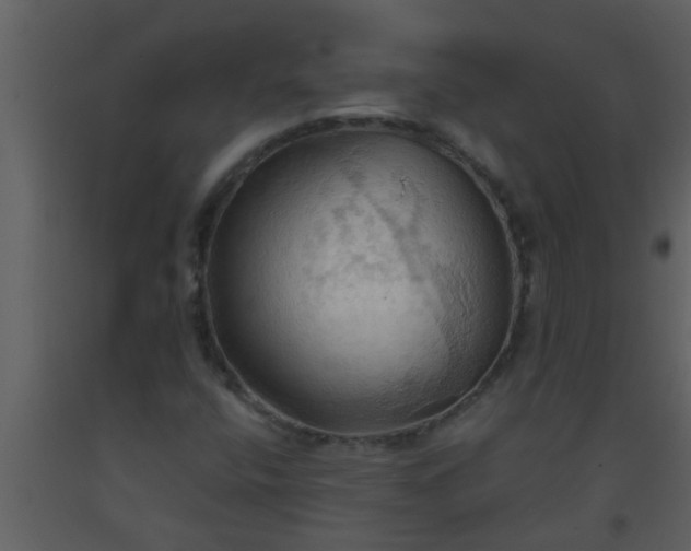 X0000093521400200710191322