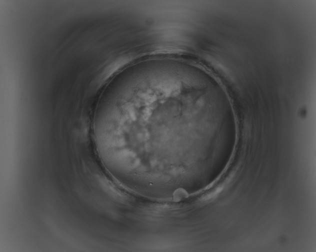 X0000093521401200710191322