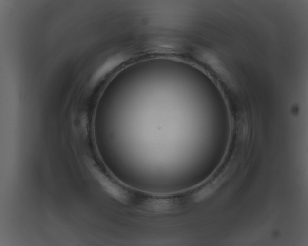 X0000093521402200710191322
