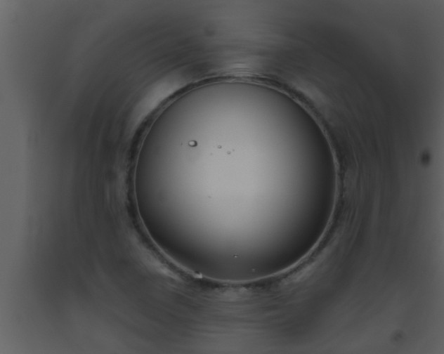 X0000093521410200710191322