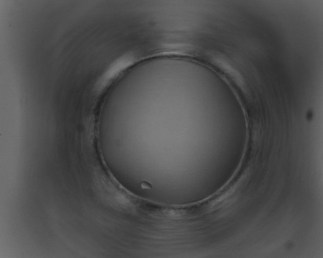 X0000093521411200710191322