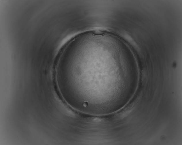 X0000093521412200710191322