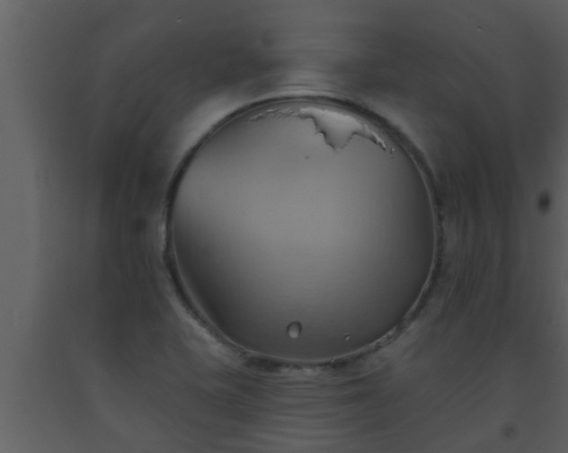 X0000093521415200710191322