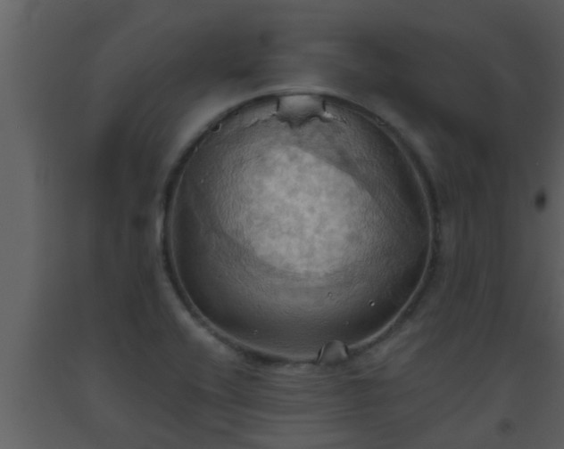 X0000093521416200710191322