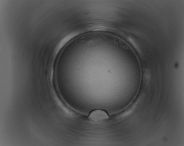 X0000093521418200710191322