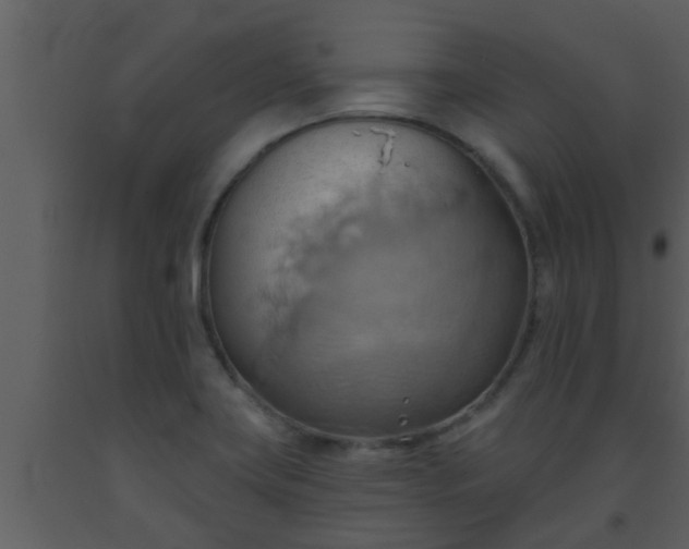 X0000093521419200710191322
