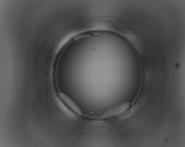 X0000093521422200710191322