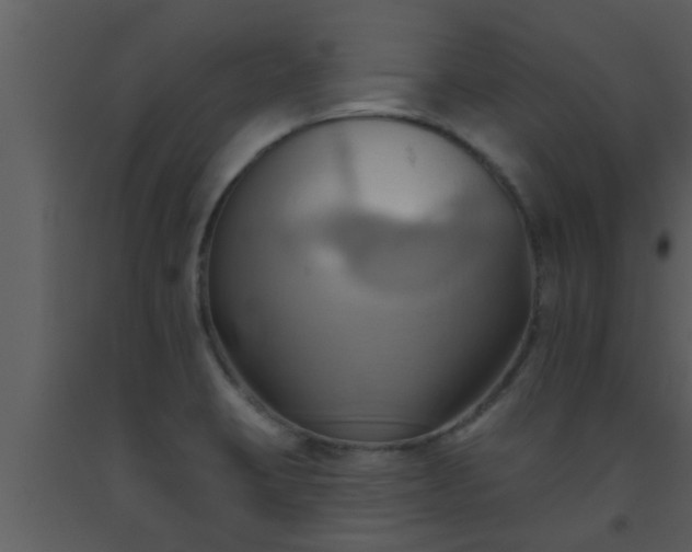 X0000093521423200710191322