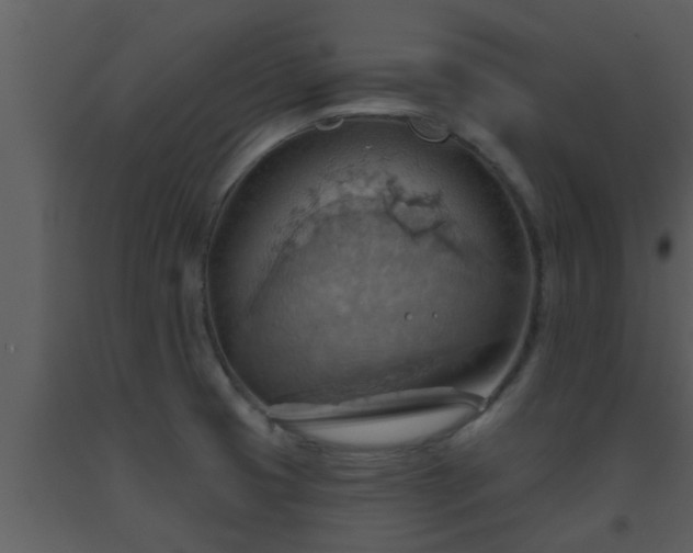 X0000093521425200710191323