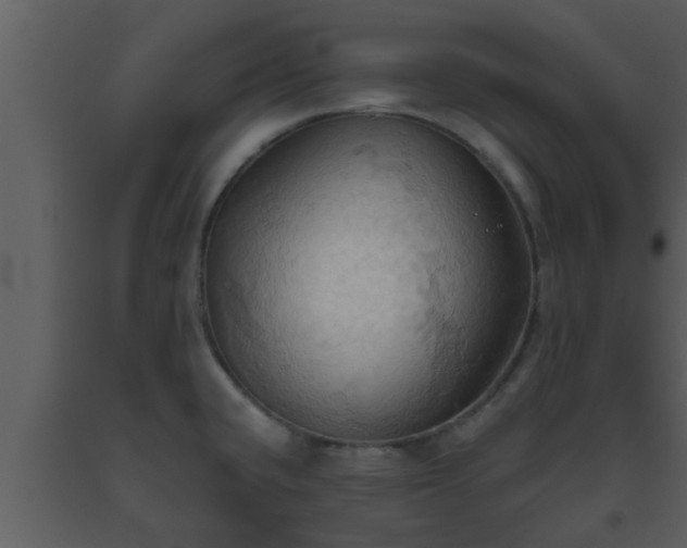 X0000093521432200710191323