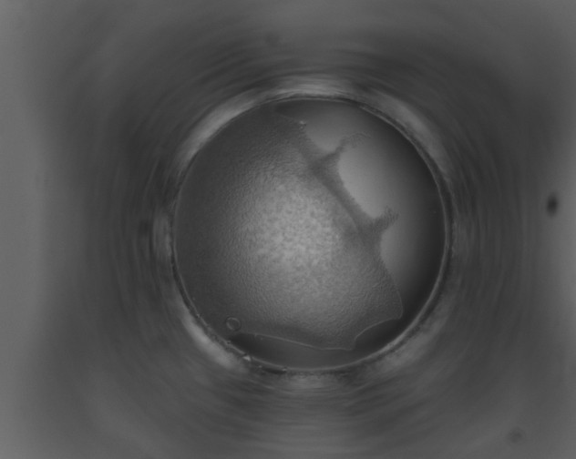 X0000093521433200710191323