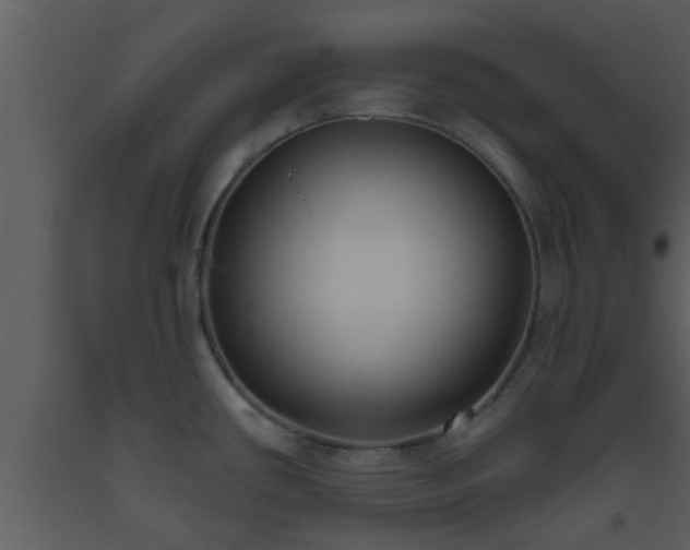 X0000093521434200710191323
