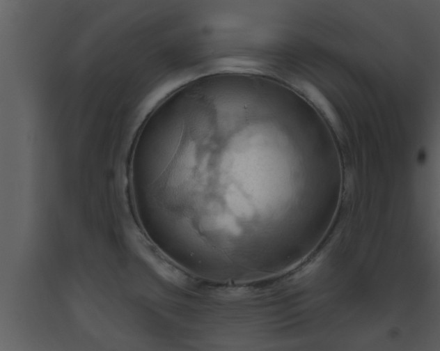 X0000093521435200710191323
