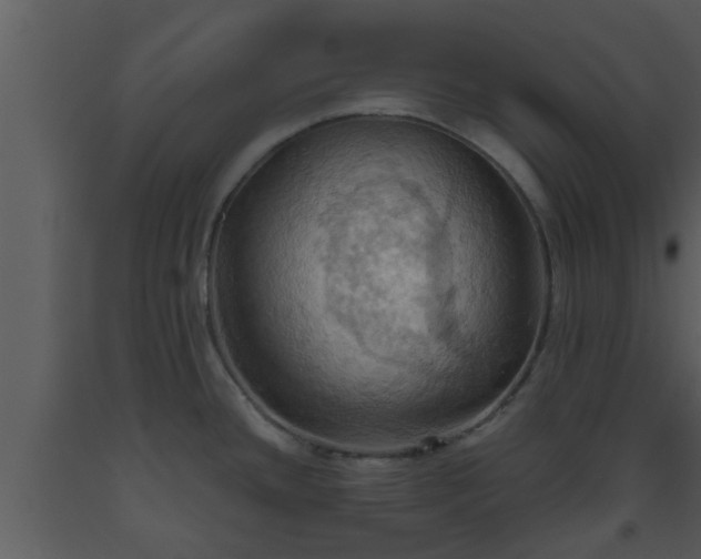 X0000093521436200710191323