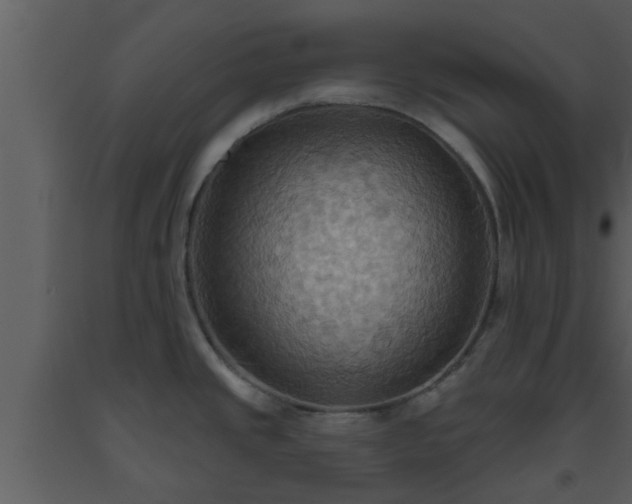 X0000093521437200710191323