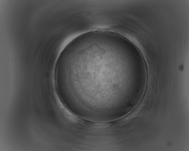 X0000093521440200710191323