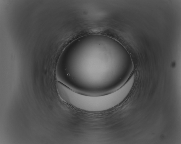 X0000093521441200710191322