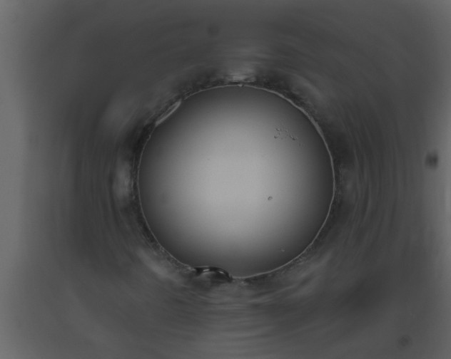 X0000093521442200710191322
