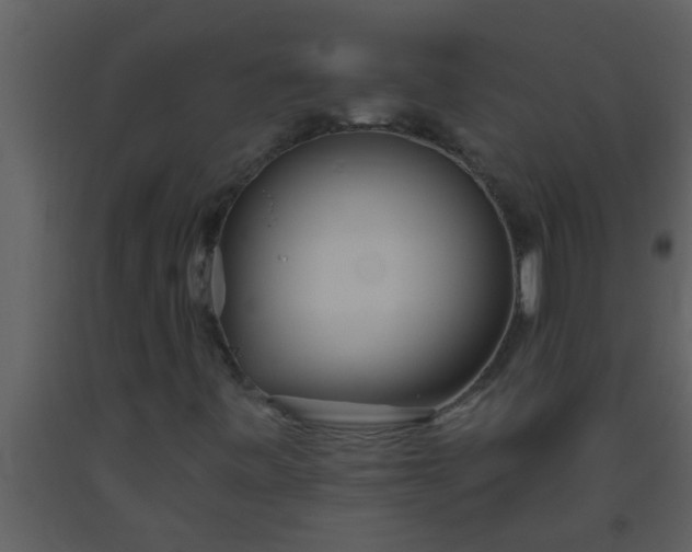X0000093521443200710191322