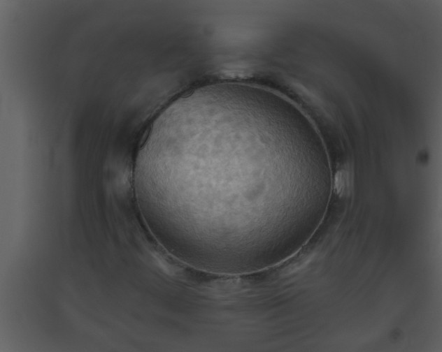 X0000093521444200710191322