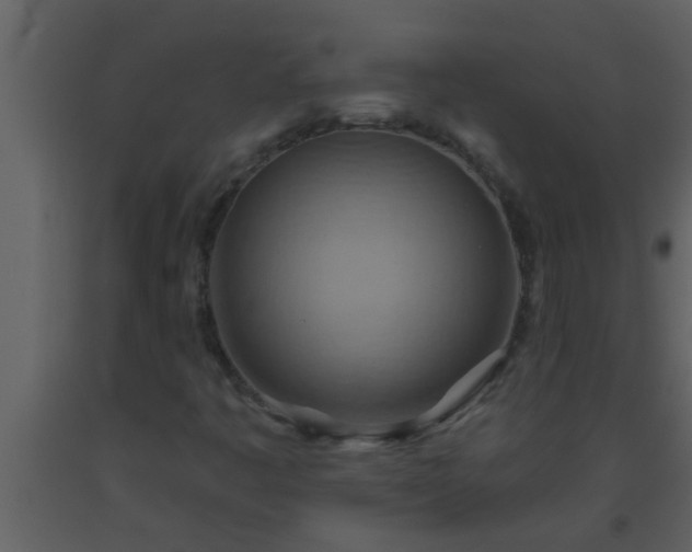 X0000093521445200710191322