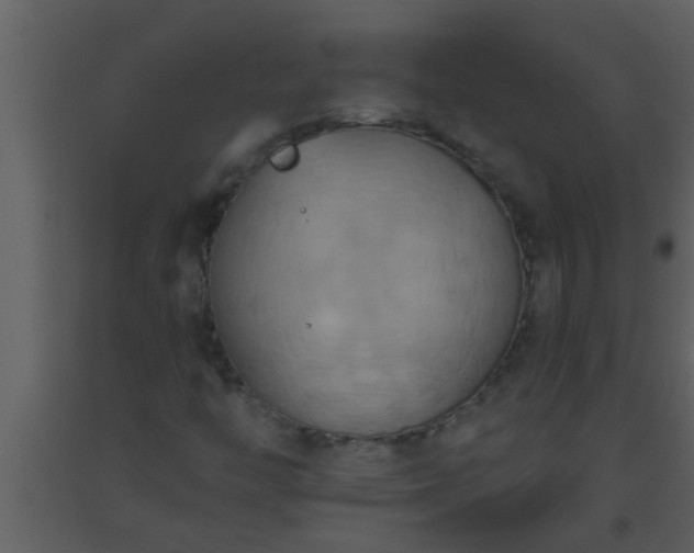 X0000093521446200710191322